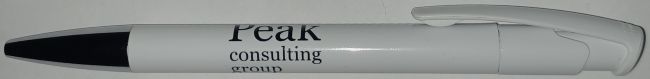 Peak Consulting Group